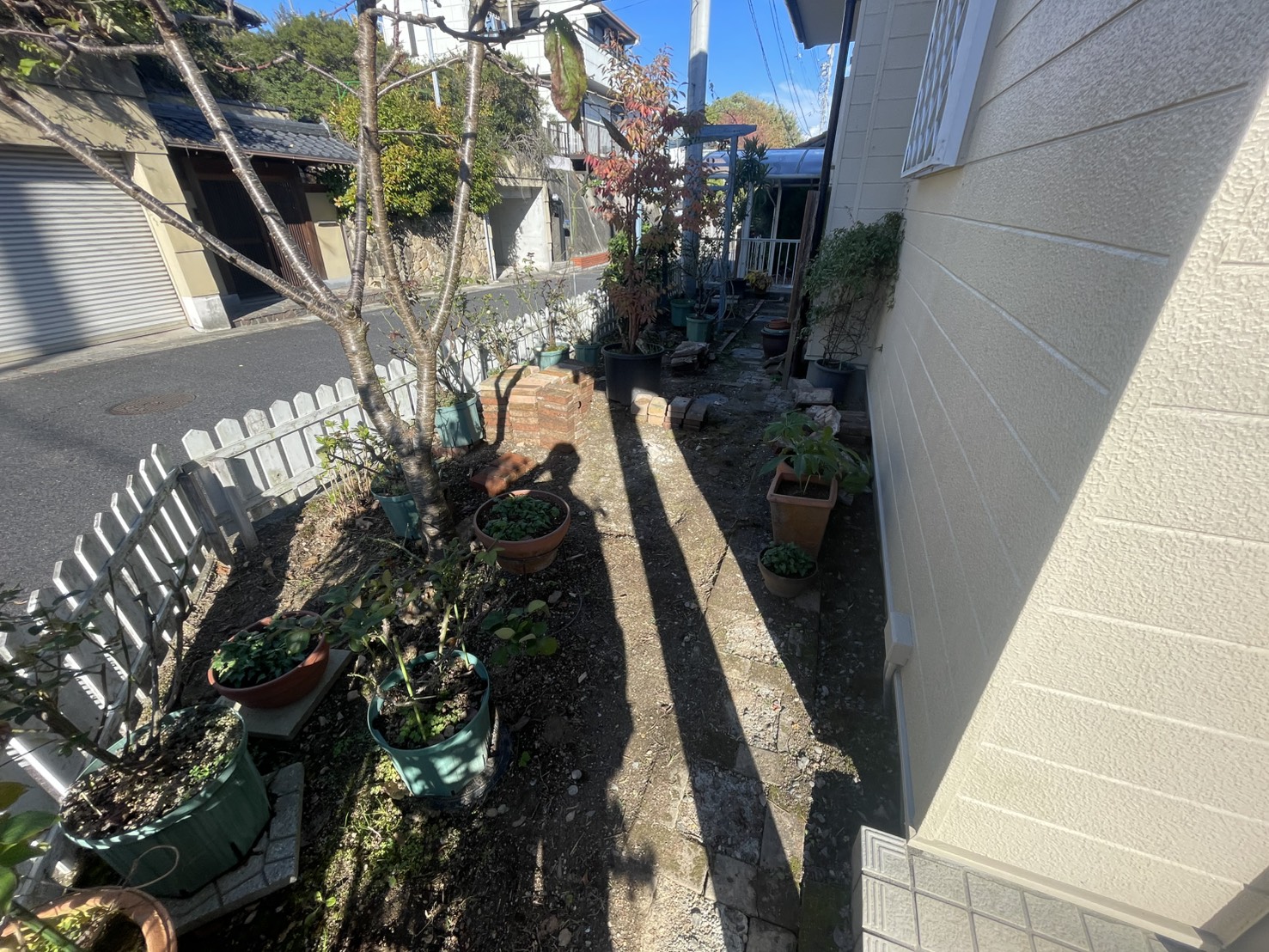 建物周りBEFORE②